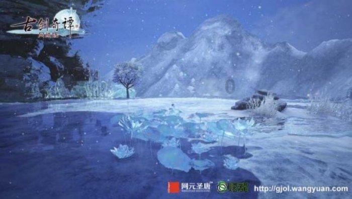 救援可爱的狮子
