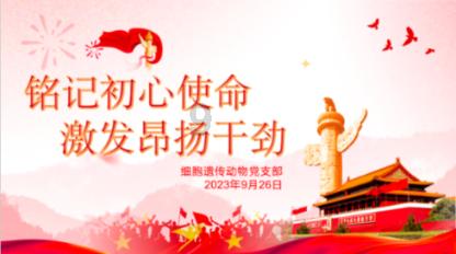 复活节记忆卡